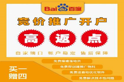 推广竞价实战经验：成功案例分享与启示